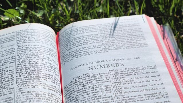 Bible Book on Field of Grass on a Sunny Day, Chapter Numbers