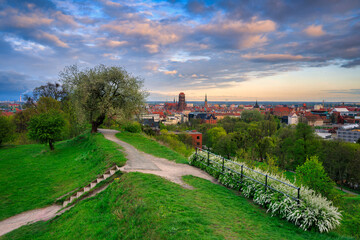 Beautiful blooming tree and the Main City of Gdansk at spring sunset, Poland