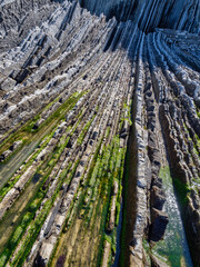 Flysch lines
