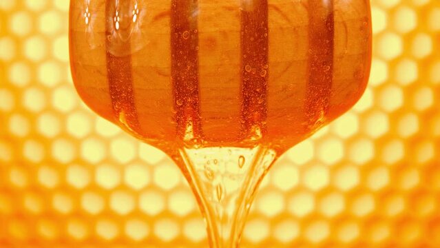 Bee honey flows on a wooden dipper in close-up. Honey spindle with bright honeycomb