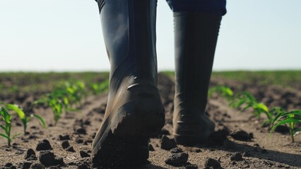 Farmer walks through agricultural field. Feet legs of male businessman in rubber boots walking in...