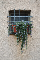 Decorating the facade of a house with pots of flowers - decorative elements