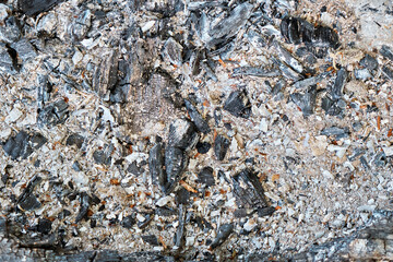 The texture of burning firewood and charcoal.a. Ashes after a fire. Light background.