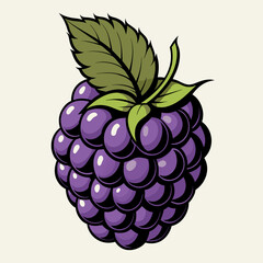 Juicy Raspberry and Blackberry Illustration with Grape Vine and Leaf, Vector Design depicting Fresh, Ripe Fruit in Nature's Palette