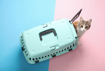 Cat in a pet carrier. Top view on blue pink background