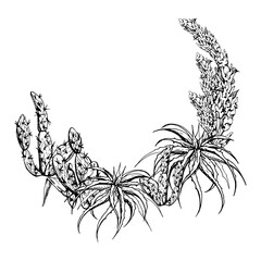 Hand drawn ink vector illustration, nature tropical exotic desert plant succulent cactus aloe agave leaves. Wreath frame isolated white background. Design travel, vacation, brochure, print, botanical