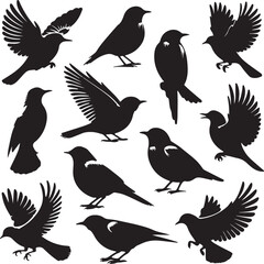 Set of sharp and realistic black sparrow bird silhouettes