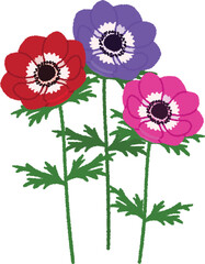 アネモネのイラスト