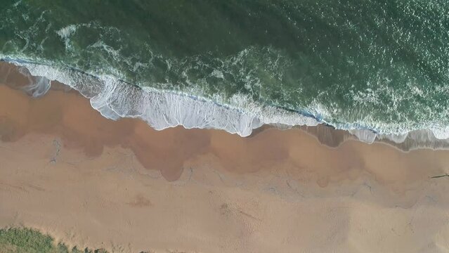 Aerial view of Mansa beach, Punta del Este, Uruguay.