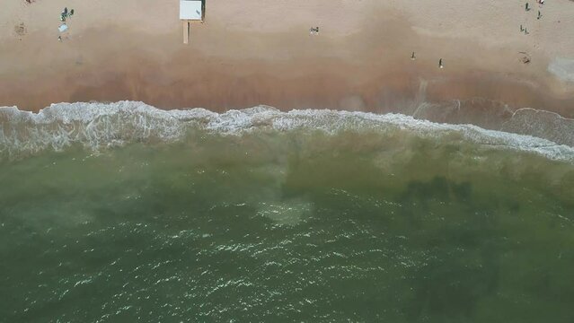 Aerial view of Mansa beach with people, Punta del Este, Uruguay.