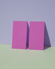 Purple blank business cards on a blue-pink pastel background. Creative minimal layout. Corporate identity