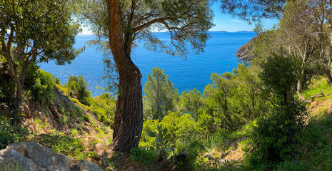 Cavalaire-sur-Mer_5752