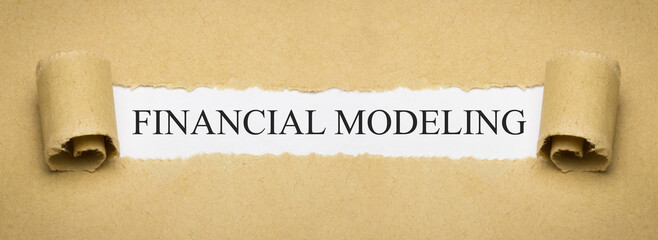 Financial Modeling