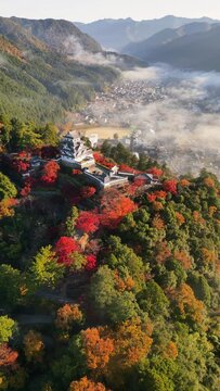 Aerial view of Gujo Hachiman Castle surrounded by vibrant autumn foliage, Gifu, Japan.