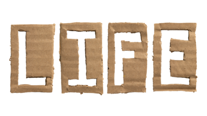 A word "LIFE" cut out from a cardboard