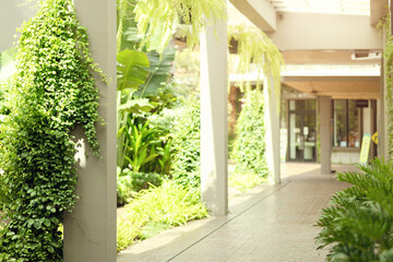 green building public walk way interior with fresh nature green plant tree for clean environment air ozone natural light saving energy campus