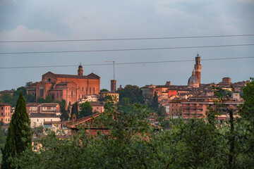 Obraz premium Siena, medieval town in Tuscany, with view of the Dome & Bell Tower of Siena Cathedral, Mangia Tower and Basilica of San Domenico, Italy