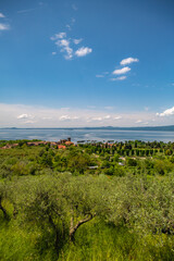 View of Lake Bolsena, province of Viterbo, Lazio, central Italy - obrazy, fototapety, plakaty