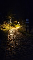 Path at night