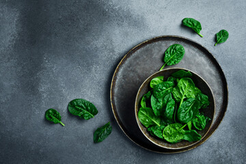 Top view of ceramic plate with fresh green spinach. Creative advertising photo. Healthy food concept. Space for text. - 788117286