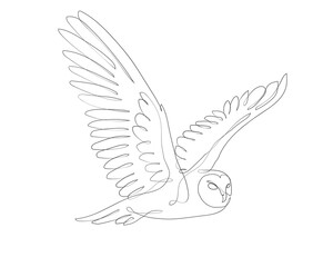Flying Owl linear minimalist decoration. Owl abstract line art. One line design silhouette of flying owl.hand drawn minimalism style.vector illustration.