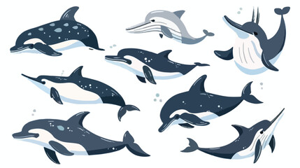 Sea animals set. Ocean fauna dolphins killer whale 