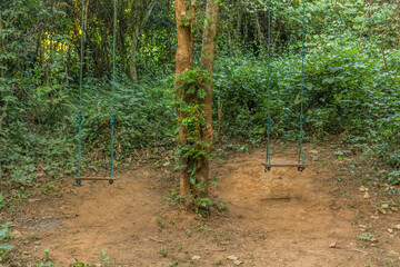 Swings in a forest near Nong Khiaw, Laos