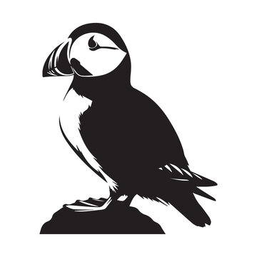 recommend clip art: puffin silhouette vector illustration white background