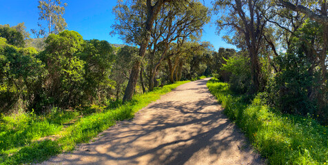 Radweg_Provence_5720