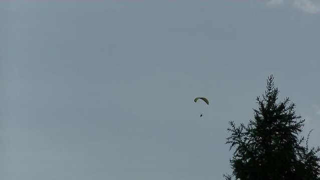 Powered paragliding, Paramotoring, PPG during evening flight against background of sky above trees - real time. Topics: sport, hobby, freedom, relaxation, air