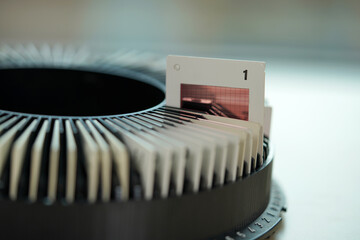 the roulette of slide film in number 1