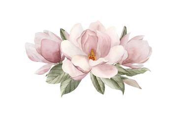 Composition of light pink magnolia flowers, buds, sprigs and leaves. Floral watercolor illustration isolated on white - obrazy, fototapety, plakaty