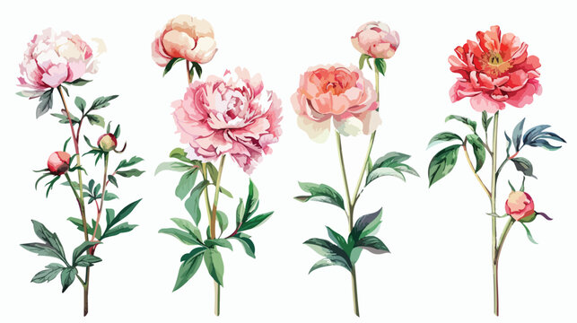 Set of Four vertical botanical backdrops with romantic