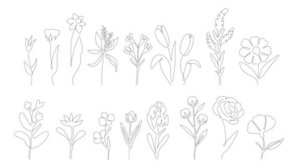 Line art wild flowers collection