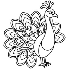 Fototapeta premium Peacock Vector Illustration on White Background with Floral and Flying Elements