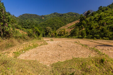Rice field near Donkhoun (Done Khoun) village near Nong Khiaw, Laos