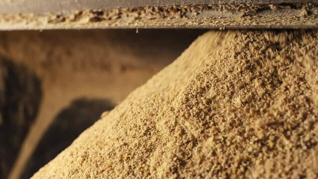 Crop view of large mass of raw materials pouring from distribution funnel of sifting mechanism. Preparation of ground corn grits for further processing using special plant equipment.