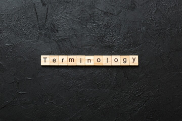 terminology word written on wood block. terminology text on table, concept