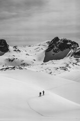 Athletes doing backcountry ski with a landscape of snowy mountains on a sunny day. Black and white