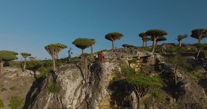 Aerial view of Baobab trees and woman in Diksam National Park, Socotra Island, Yemen.