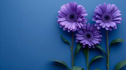 Three purple flowers are standing in front of a blue background, AI