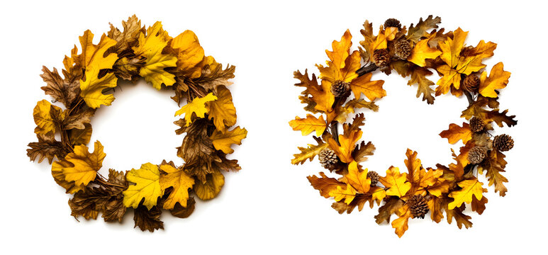 Oak wreath with yellow leaves on the white background.	