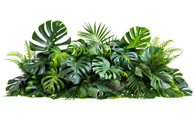 Lush green foliage arrangement featuring various tropical plants, including Monstera and ferns, set against a clean white background for a vibrant interior d&eacute;cor impact