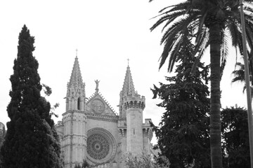 A timeless scene captured in black and white, featuring an ancient cathedral encircled by palm...