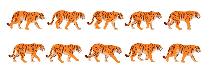 Animated tiger full gait animation cycle.