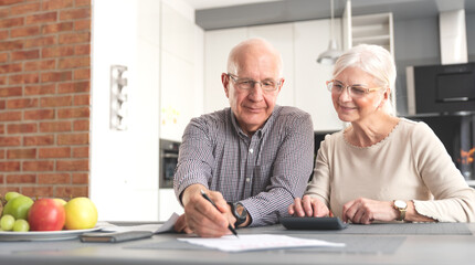 Senior couple doing bill calculations at home