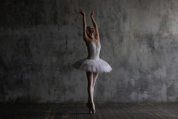 Slender, beautiful ballerina performing the part of a swan.