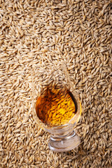 Top view of a glass of whiskey lying on a pile of barley grains. Traditional alcohol distillery concept