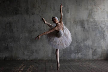 Ballerina performs the role of a swan from the ballet Swan Lake.
