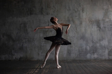 Ballerina in a black tutu performs the part of the black swan from Tchaikovsky's ballet Swan Lake.